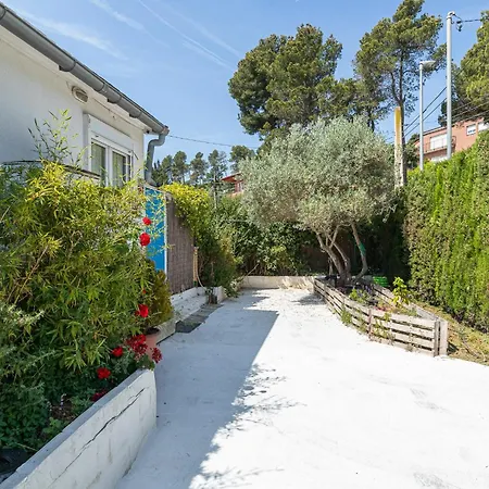 Denis Casa
